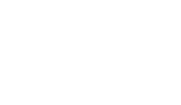 Kanton_Bern_Negativ