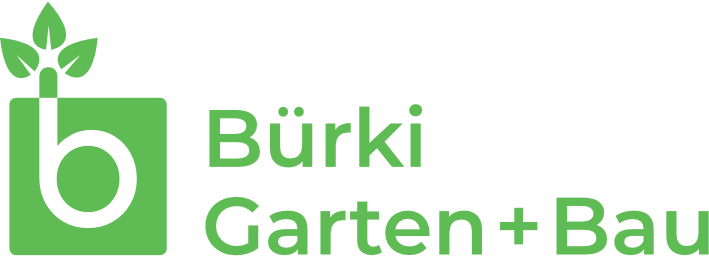 logo_buerki_cmyk_250x90